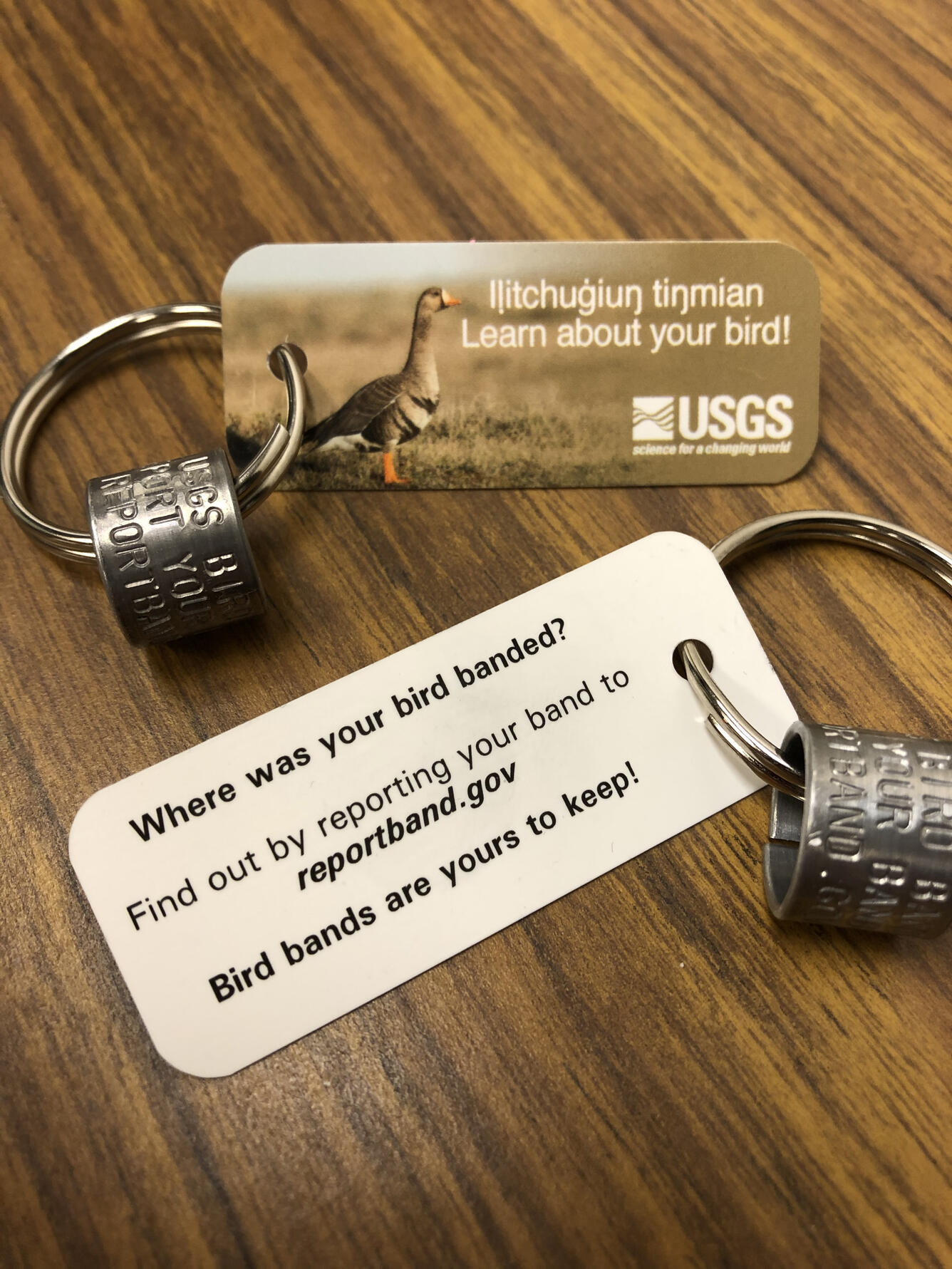 Keychain in Inupiaq for USGS outreach activities about bird banding U
